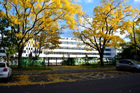 Johann-Gottfried-Herder-Gymnasium in Berlin-Lichtenberg