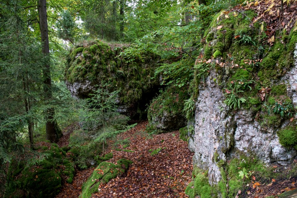 Kälberschlaghöhle (A 14) 83