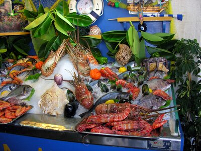Tropical fish colorful stall