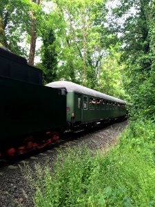 Königstein, Bahnhofsfest 2019, Zug im Woogtal (3)