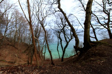 Küste Rügen (bei Wissower Klinken) 