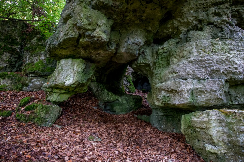 Kälberschlaghöhle (A 14) 81
