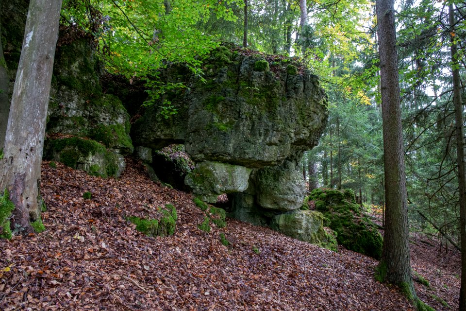 Kälberschlaghöhle (A 14) 77