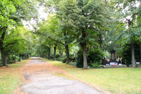Johannisfriedhof Dresden 2012-08-28-0153