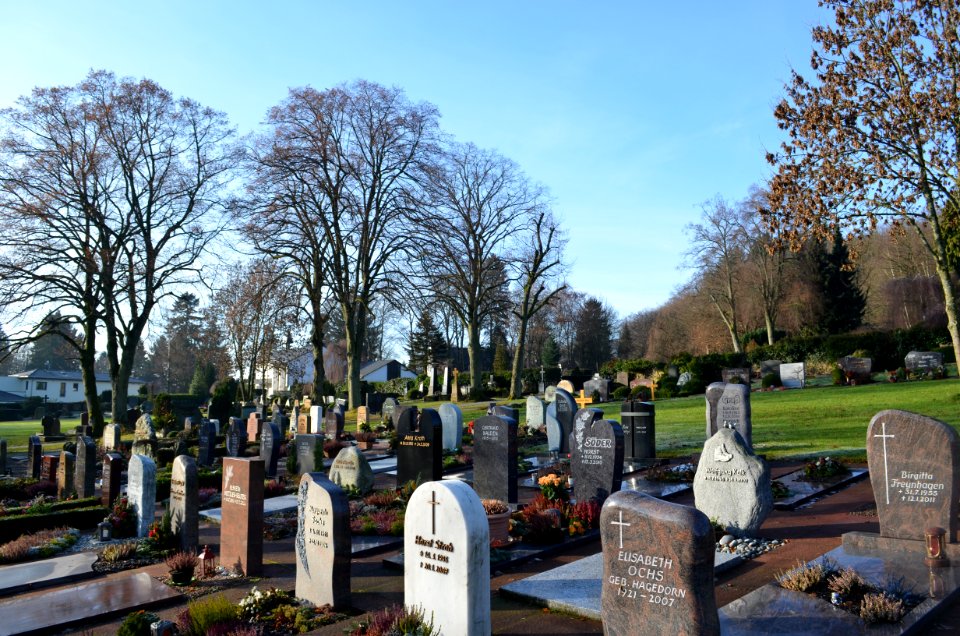Königstein, Friedhof, Totale