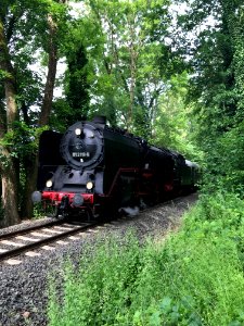 Königstein, Bahnhofsfest 2019, Zug im Woogtal
