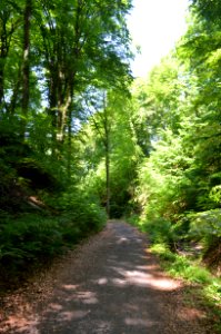 Königswinter, Nachtigallental (1)