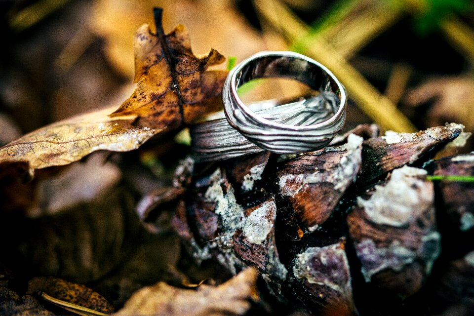 Rings autumn love