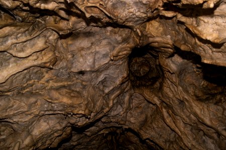 Kälberschlaghöhle (A 14) 25