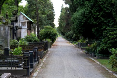 Johannisfriedhof Dresden 2012-08-28-0188
