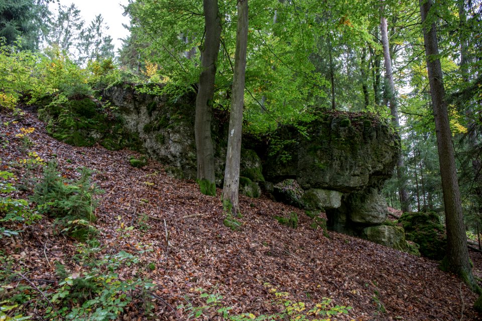 Kälberschlaghöhle (A 14) 82