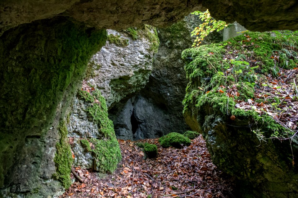 Kälberschlaghöhle (A 14) 85