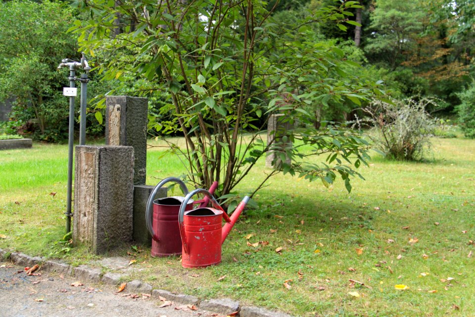 Johannisfriedhof Dresden 2012-08-28-0193