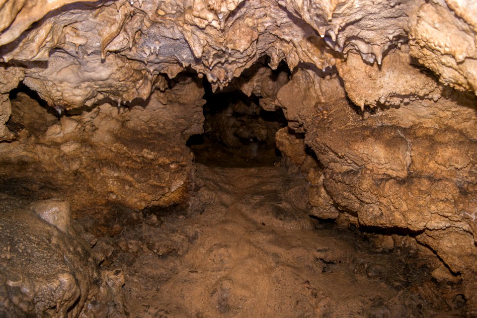 Kälberschlaghöhle (A 14) 03