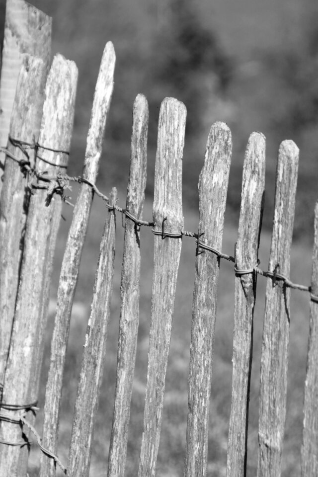 Gate white black