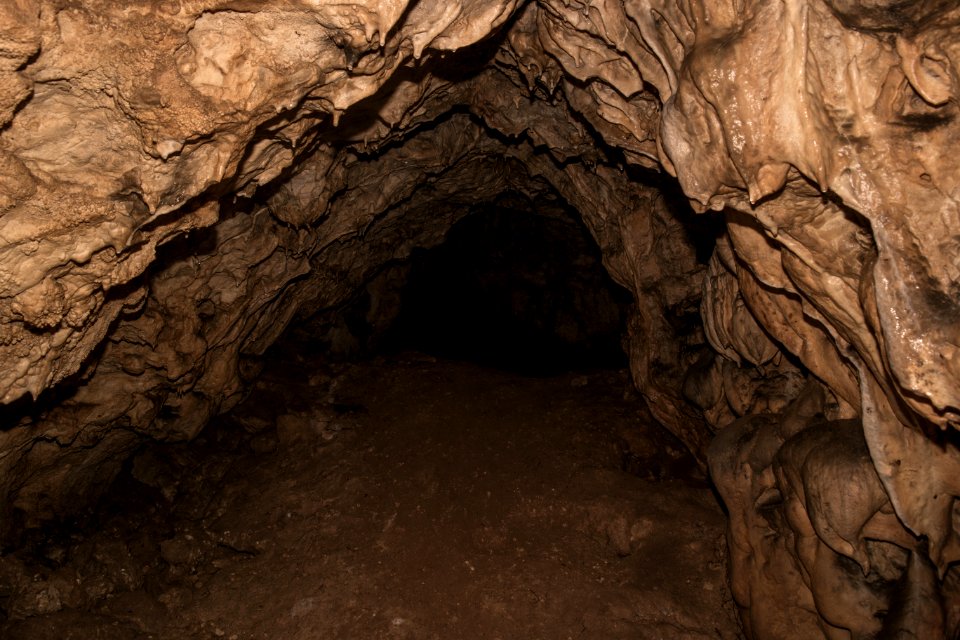 Kälberschlaghöhle (A 14) 28