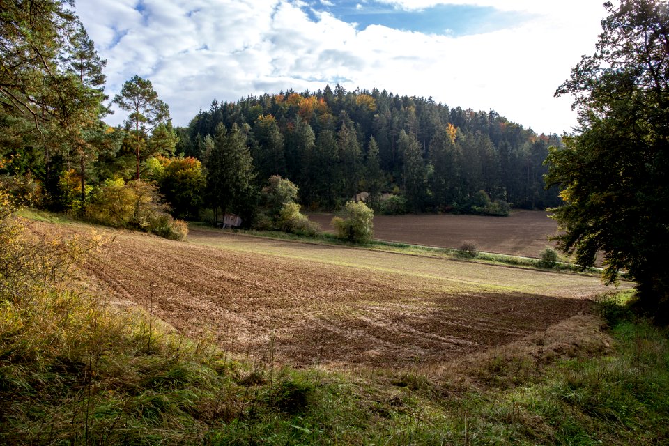 Kälberschlaghöhle (A 14) 89