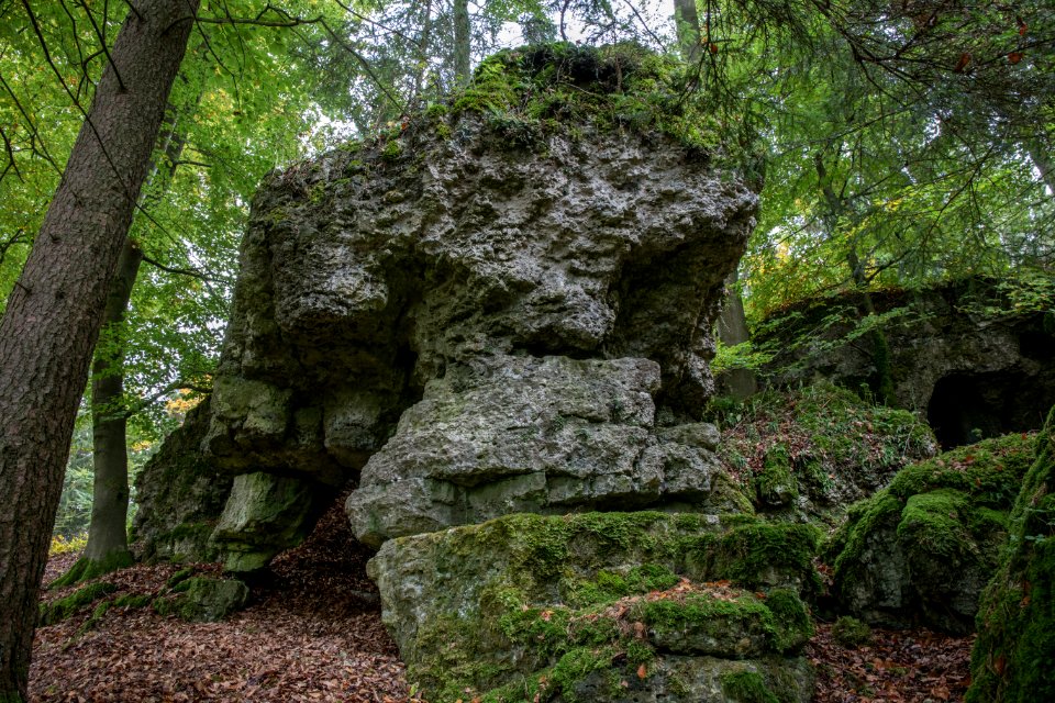 Kälberschlaghöhle (A 14) 80