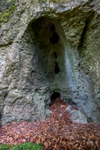 Kälberschlaghöhle (A 14) 88