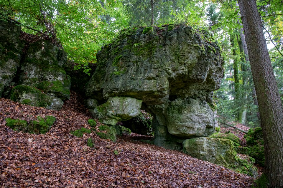 Kälberschlaghöhle (A 14) 78