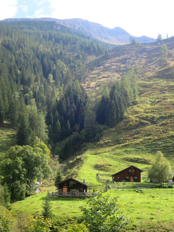 Käfertal 2