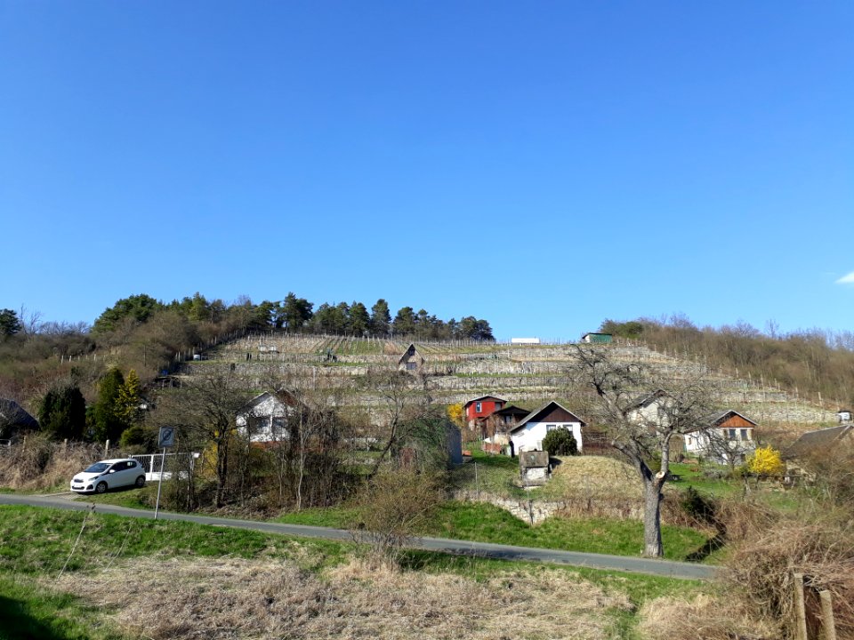Käuzchenberg Zwätzen