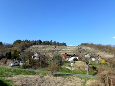 Käuzchenberg Zwätzen