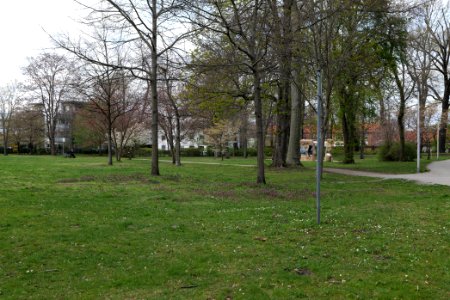 Käthe-Kollwitz-Ufer Cottbus 2021-04-24 02
