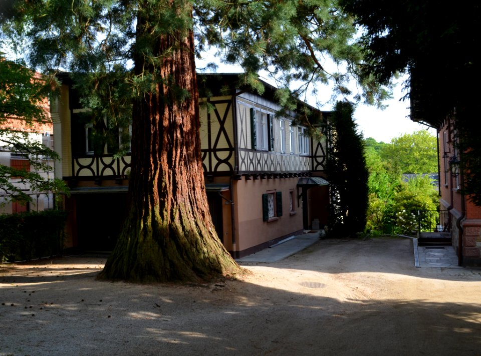 Königstein, Ölmühlweg 25 (1)