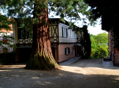 Königstein, Ölmühlweg 25 (1)