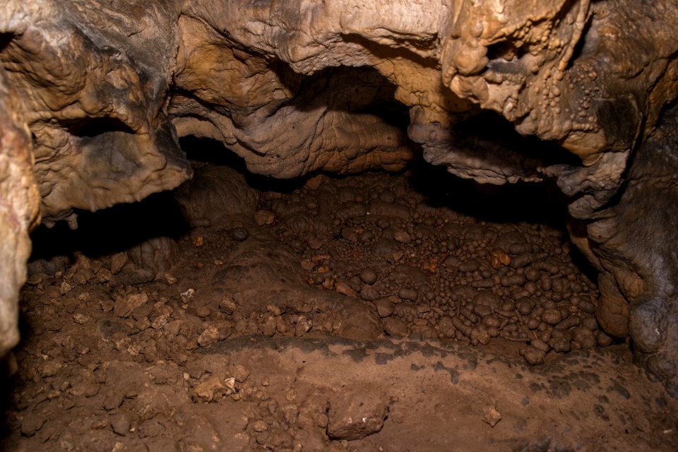 Kälberschlaghöhle (A 14) 44