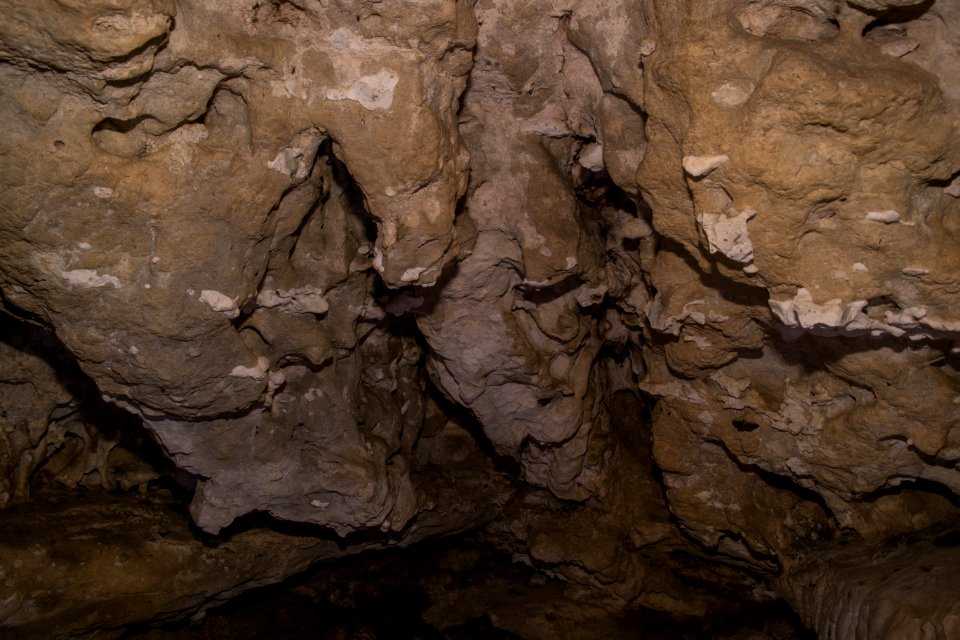 Kälberschlaghöhle (A 14) 37