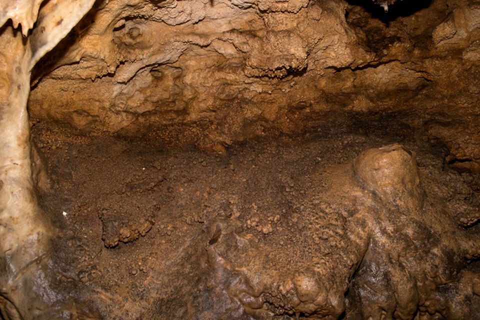 Kälberschlaghöhle (A 14) 27