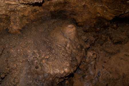 Kälberschlaghöhle (A 14) 47