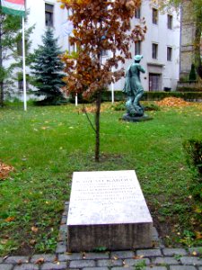 Kárpáti Károly tölgy