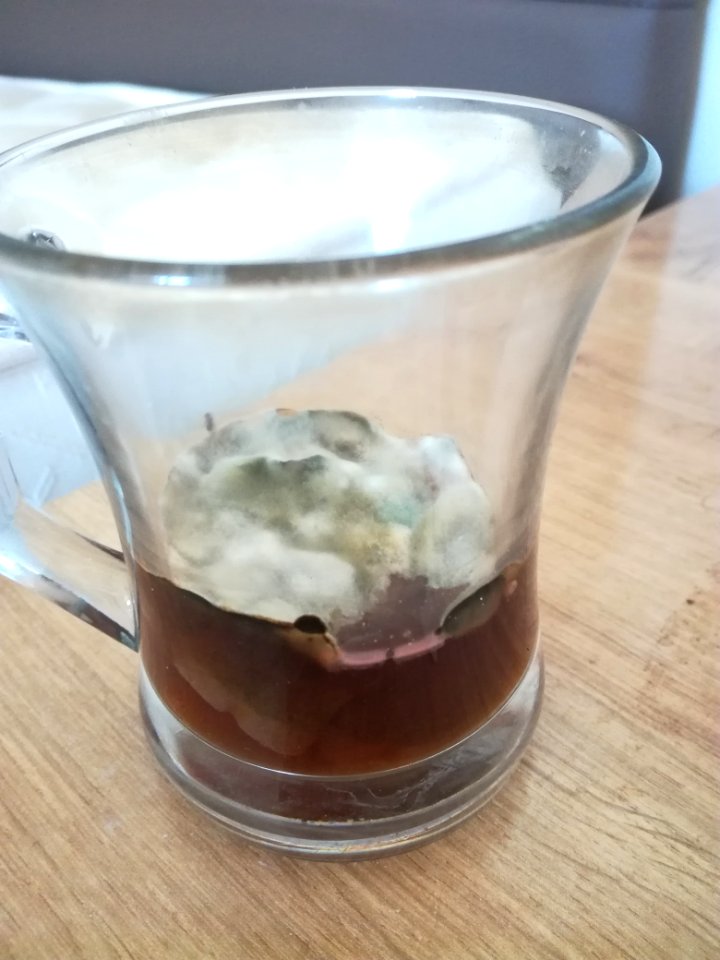 Küflenmiş çay