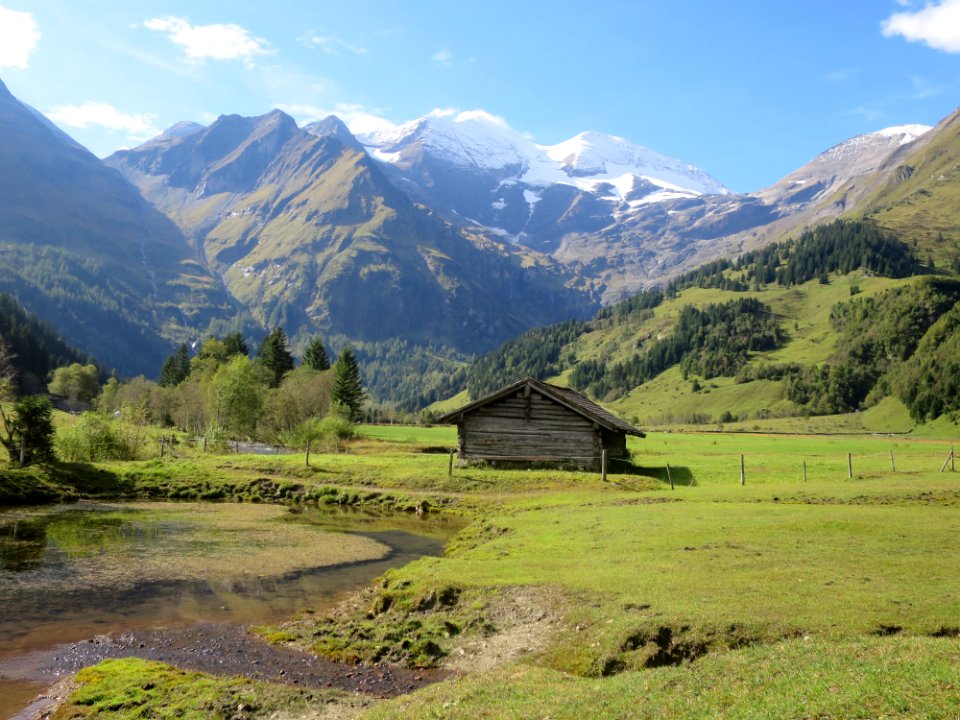 Käfertal 1