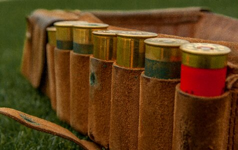 Ammunition hunting gun