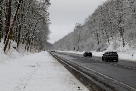 Königstraße Düppeler Forst with snow 2021-01-30 01
