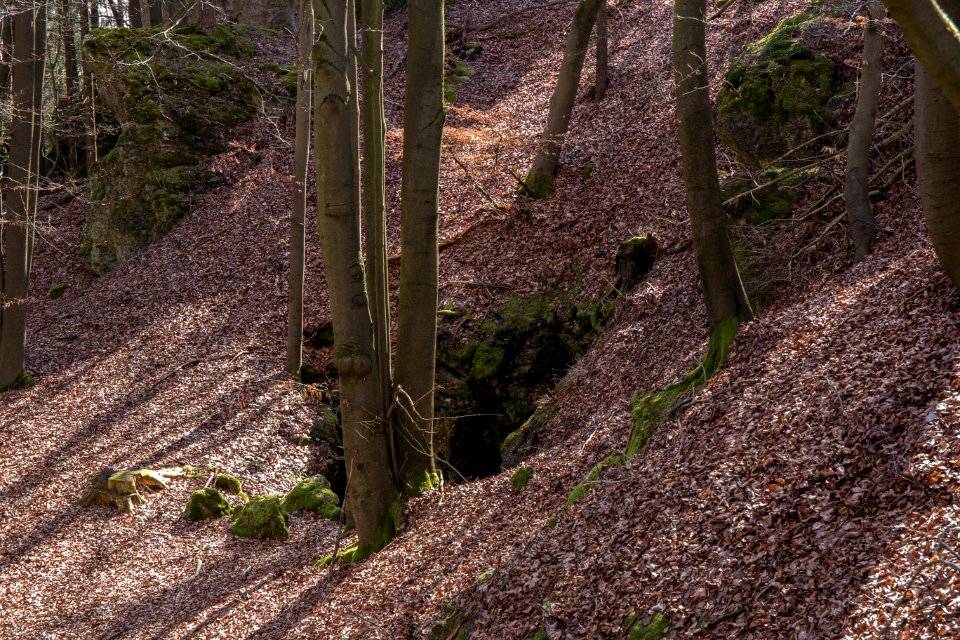 Kühloch bei Ratzenhof (A 55) 06