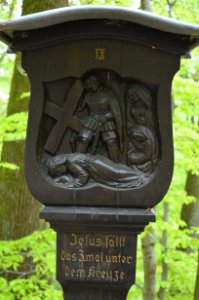 Königstein, Kreuzweg Romberg, Station 9, Detail