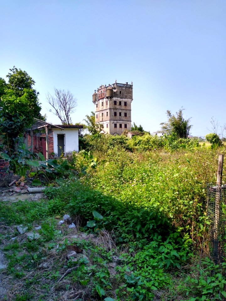 Kaiping countryside 1