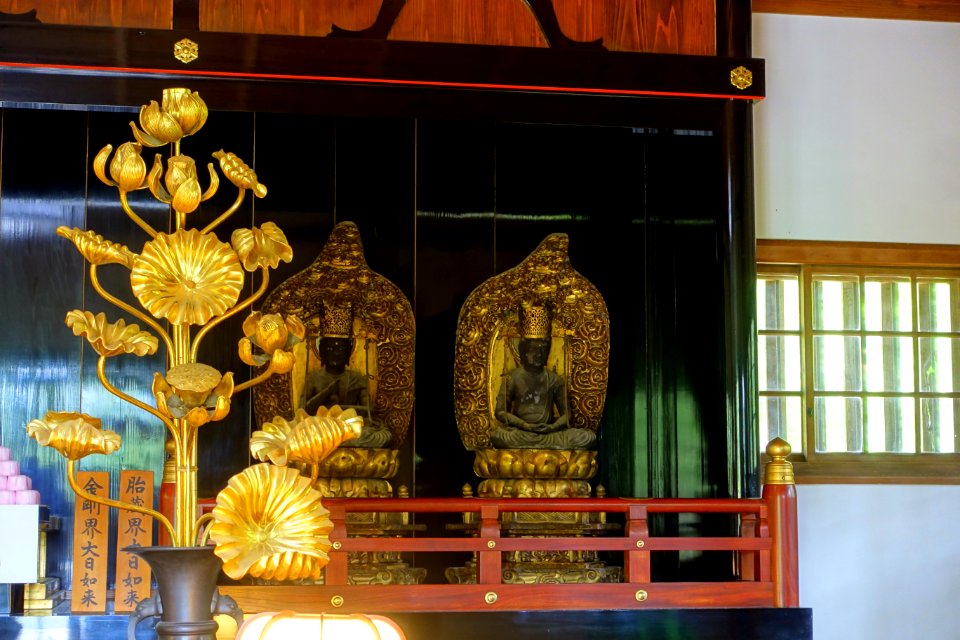 Kaisando (Founder's Hall) - Motsuji, Hiraizumi, Iwate - DSC04465