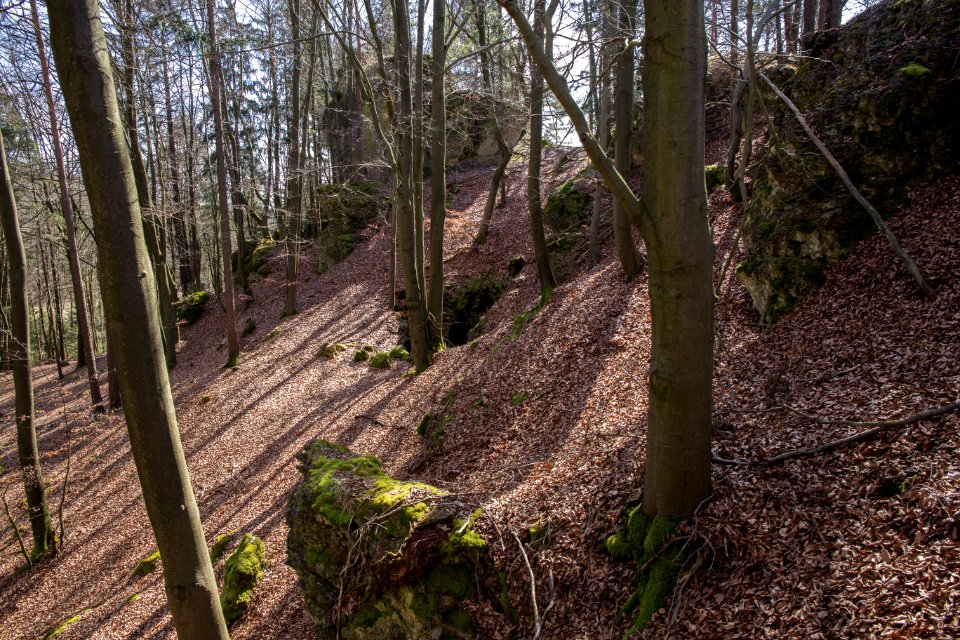 Kühloch bei Ratzenhof (A 55) 04