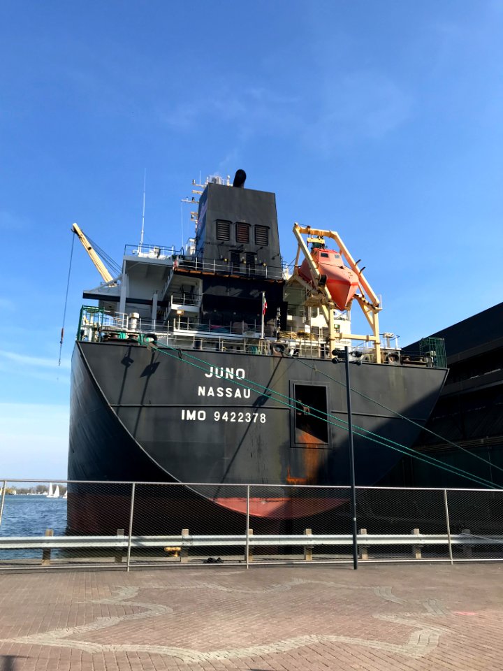 Juno at Queens Quay