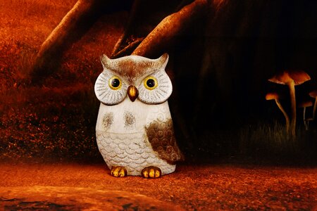 Bird eagle owl night