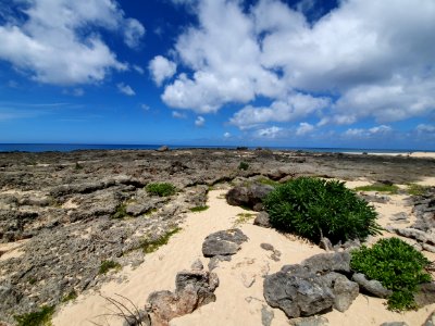 Kahawai Beach Support Park