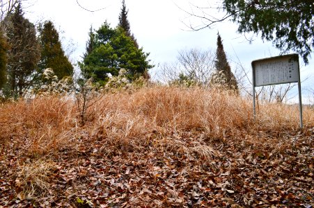 Kabutoyama Kofun (Mihara), funcho