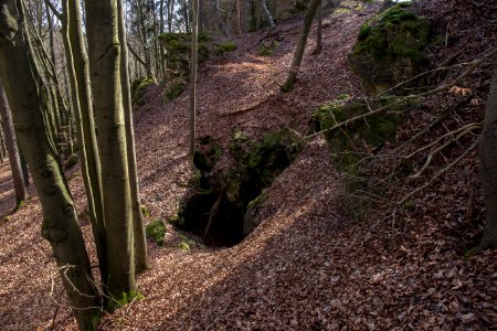 Kühloch bei Ratzenhof (A 55) 07
