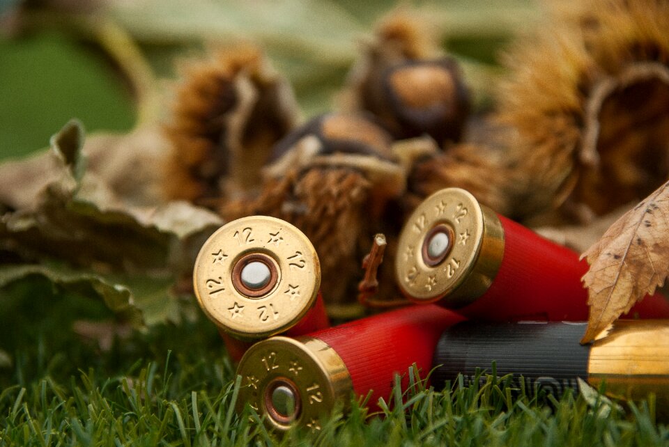 Cartridges weapon rifle ammunition
